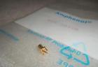 908-22106 Amphenol New Lot Of