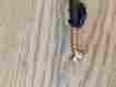 Fsj150a 1 4 50 Ohm Superflex Coax Cable 320 Feet Fsj150a 1 4 50 Ohm Superflex Coax Cable 320 Feet