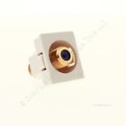 Rfcext-w Pass And Seymour White Recessed Self Terminal Stamped 785007027556