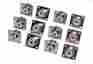 So-239 200-190 Female Steren 12 Lot Chassis Mount Uhf Connector For Ham Radio Or J Pole Antenna 884645115479