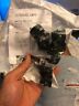 Ssh710 Connect It Snaptak Plus Polymer Hanger Kit Of To