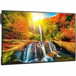 Sharp 43" Ultra High Definition Commercial Display PNME432. Fixed Price $816.12.