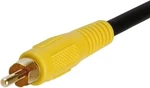 Cmple - 3FT Subwoofer 1 Male S/pdif Coaxial Cable, Digital Aud. Fixed Price $10.00.
