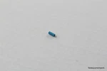 Agilent 0370-2781 Dust And Moisture Seal Protective Cap Pack Of. Fixed Price $16.99.