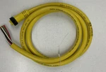 Brad Harrison 208000A01F060 CORDSET,8-PIN,RECEPTACLE,FEMALE. Fixed Price $99.17.
