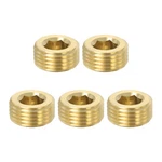 5 Pcs 1/2 Inch Male Bsp Pipe Internal Hex Thread Socket Brass Plugs. Fixed Price $19.30.